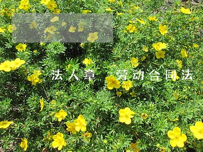 法人章 劳动合同法 法人章 劳动合同法